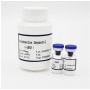 Recombinant Strep-Tactin with Cysteine r-STc