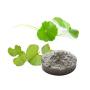Centella Asiatica Extract Asiatic Acid CAS 464-92-6 Cosmetic Materials