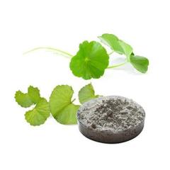 Centella Asiatica Extract Asiatic Acid CAS 464-92-6 Cosmetic Materials