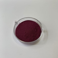 HOT Sell Antiviral Elderberry extract powder 5% - 25% Anthocyanins USA warehouse shipment