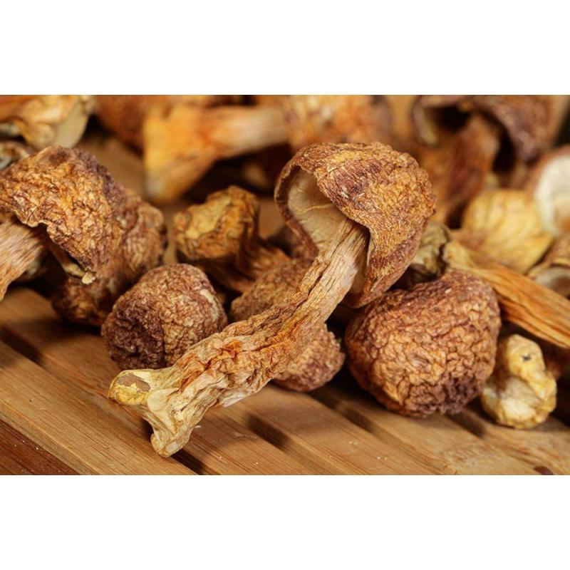 Best selling Agaricus Blazei murill Mushroom powder extract