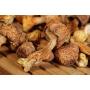 Best selling Agaricus Blazei murill Mushroom powder extract