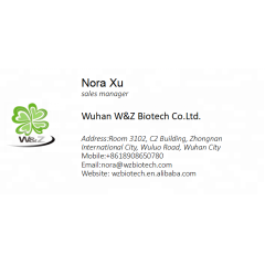 Supply organic Shitake Mushroom Extract powder Lentinan Chemicals for Research