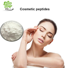 Factory supply Natural Whitening Raw Material 99% Beta Arbutin Beta-Arbutin powder