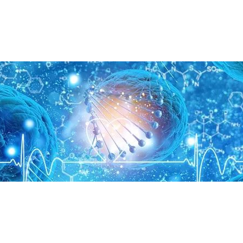Recombinant Streptococcal Protein G  / r-SPG  / SPG Bioengineering