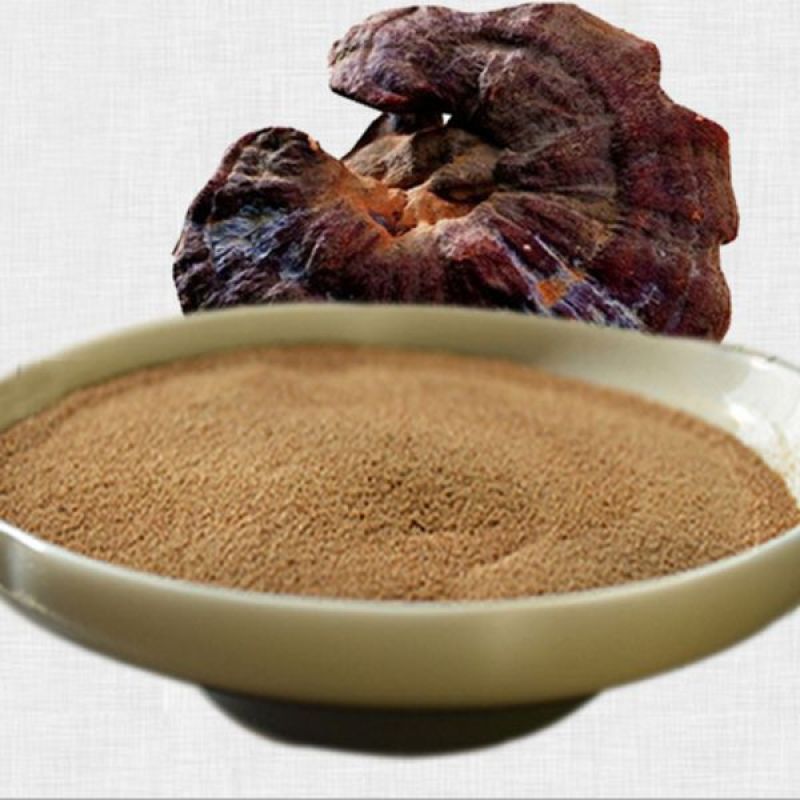 Organic Reishi Mushroom Extract Powder Ganoderma Lucidum Polysaccharides 10%-50%
