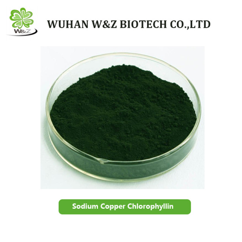 Factory supply SodiuM Copper Chlorophyllin CAS 28302-36-5