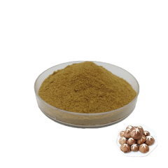 Pure natural agaricus bisporus mushroom extract Pure natural agaricus bisporus mushroom extract