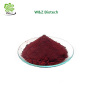 Natural Tomato Extract Powder Lycopene CAS 502-65-8 Cosmetic Materials