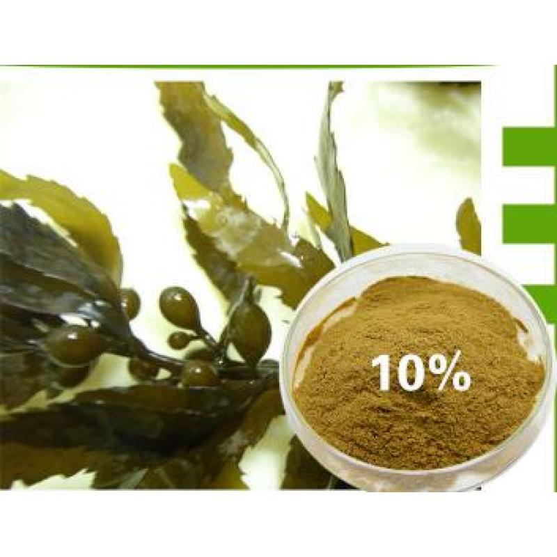 Supply Fucoxanthin/Fucoxanthin Extract/Fucoxanthin Powder