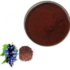 Factory Supply High Quality Natural Sorghum Extract with proanthocyanidins UV 90%
