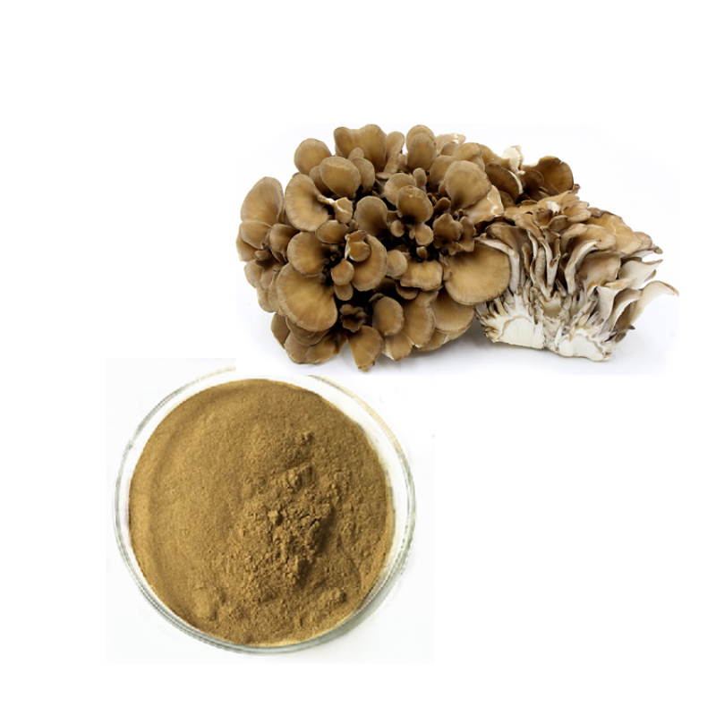 Grifola frondosa extract Maitake mushroom Extract powder  Polysaccharide 10%~50%