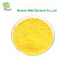 Cosmetic Raw Material Retinol Palmitate CAS 79-81-2 Vitamin A Palmitate