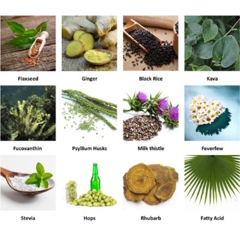 UV Test 10%~60% Polyphenol Litchi Extract