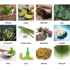 UV Test 10%~60% Polyphenol Litchi Extract