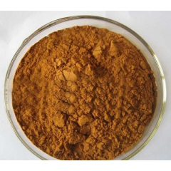 Fucoidan fucoxanthin kelp extract seaweed extract