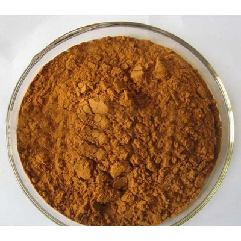 Fucoidan fucoxanthin kelp extract seaweed extract