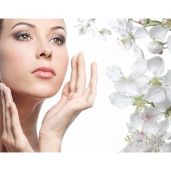 Anti-aging Cosmetic powder Vitamin A/Retinol/ Adenosine/Hydroxypropyl cyclodextri  CAS 58-61-7