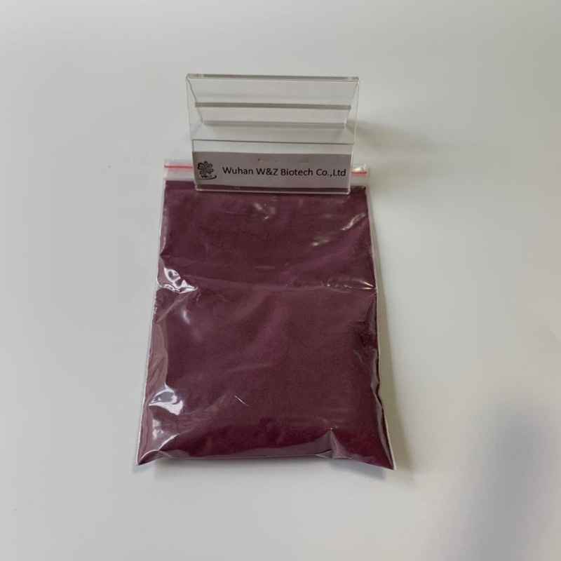 HOT Sell Antiviral Elderberry extract 25% Anthocyanins