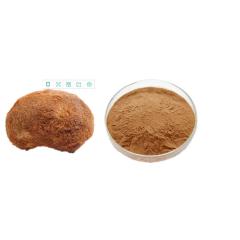 Low Price Ganoderma Lucidum Reishi Mushroom Extract Powder