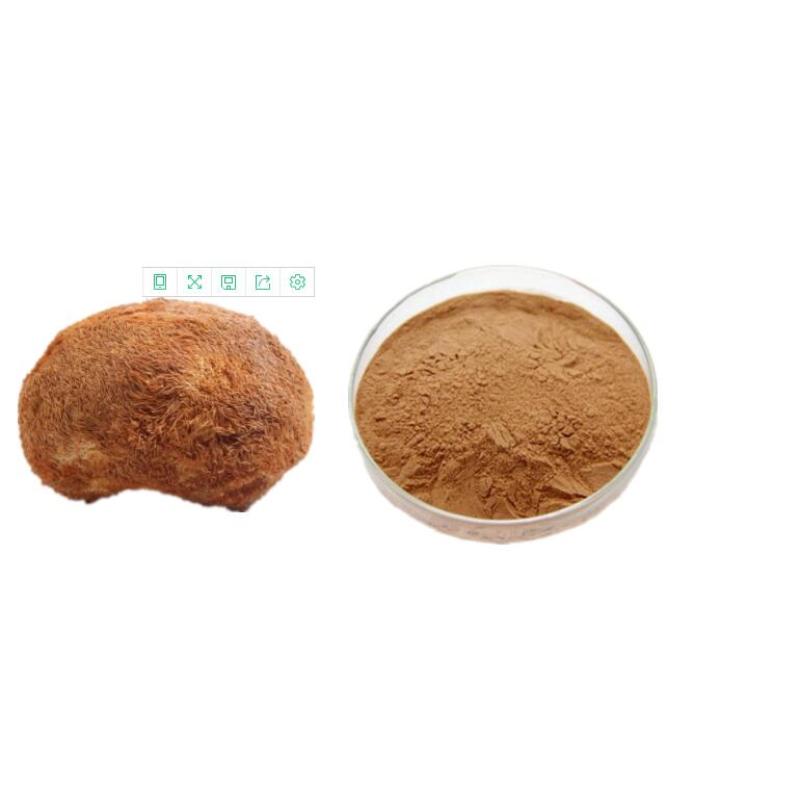 Low Price Ganoderma Lucidum Reishi Mushroom Extract Powder