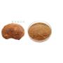 Low Price Ganoderma Lucidum Reishi Mushroom Extract Powder