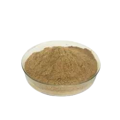 Natural Huperzine A Powder From Huperzia Serrata Extract 1% -98%