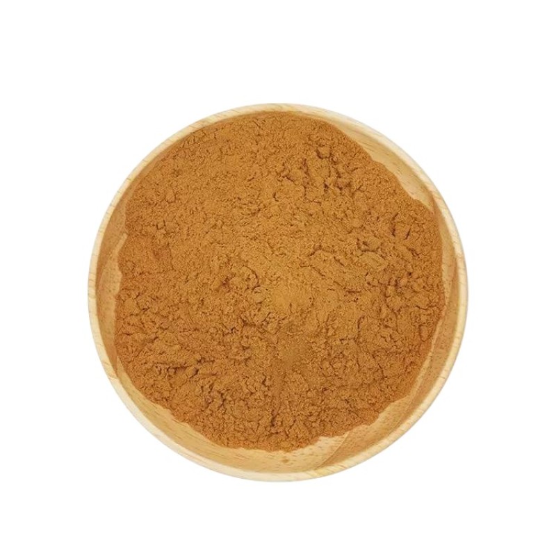 Organic Cordyceps Sinensis cordyceps militaris extract cordycepin powder