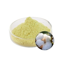 High quality CAS 12542-36-8 Acetic Acid Gossypol 98% Acetate Gossypol