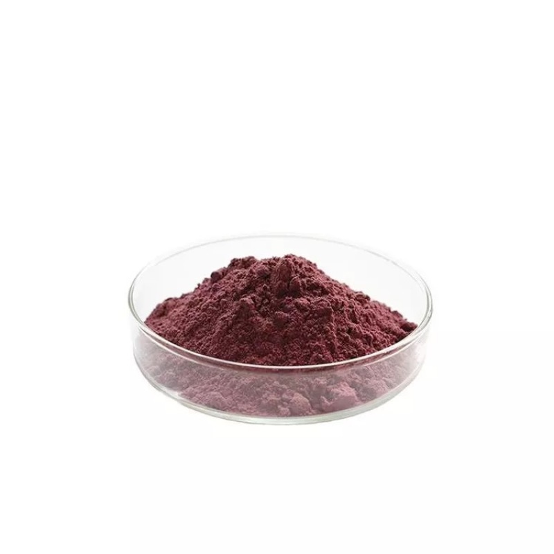Natural red root extract cryptotanshinone salvia miltiorrhiza root extract 98% cryptotanshinone