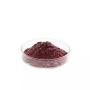 Natural red root extract cryptotanshinone salvia miltiorrhiza root extract 98% cryptotanshinone