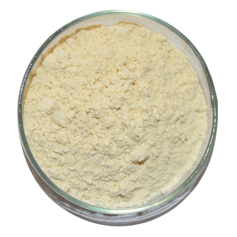 Supply 98% Naringin Extract CAS 10236-47-2 Grapefruit Extract powder Naringin
