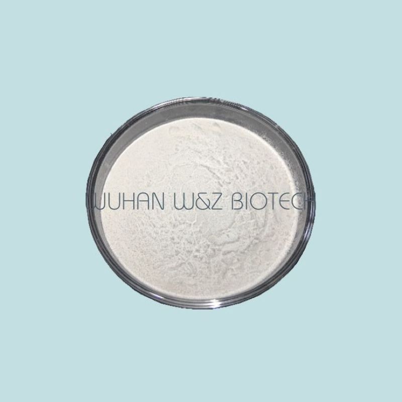 Hot Selling CAS 74-79-3 L(+)-Arginine Powder l arginine