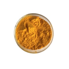 Hot selling Pure plant extract 98% rhein powder