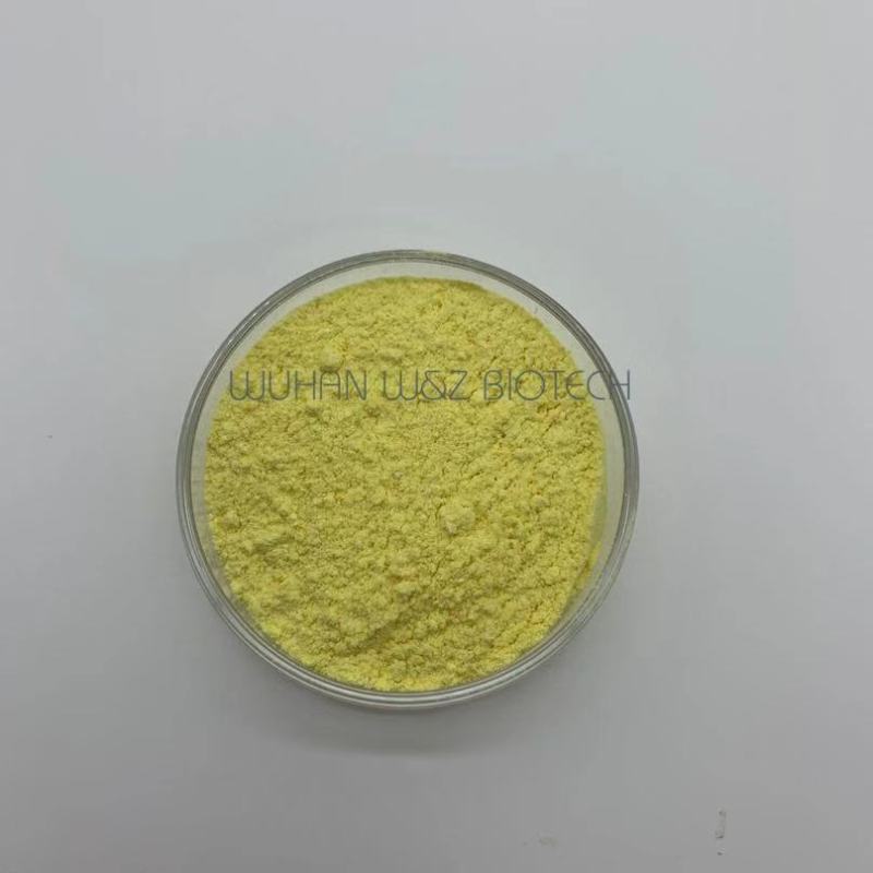 Supply Natural Astilbin Engelhardtia Leaf Extract  80%-98%Astilbin