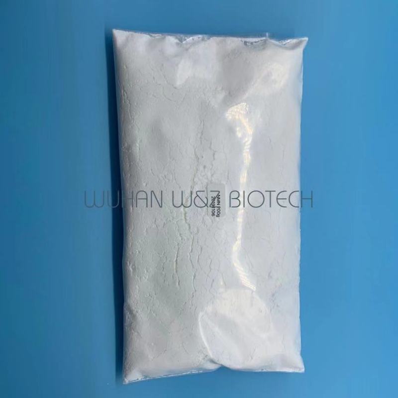 Top Quality N-Acetylneuraminic acid natural sialic acid CAS 131-48-6