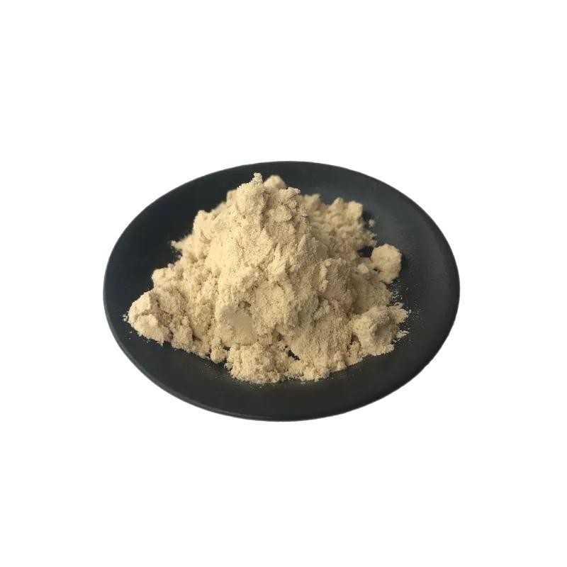 Top Quality Luteolin Powder Luteolin 98%  CAS 491-70-3