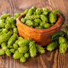 Supply 100% Pure Hops Flower Extract Xanthohumol Supplement CAS 6754-58-1