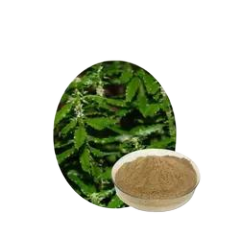 Natural Huperzine A Powder From Huperzia Serrata Extract 1% -98%