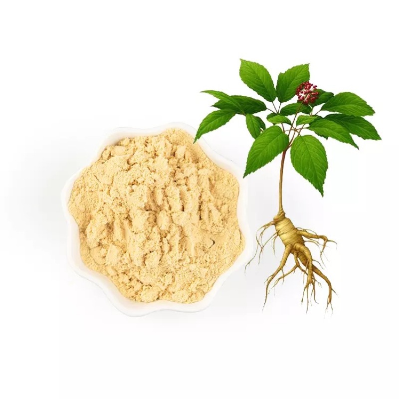 TOP Quality Ginsenoside Ck