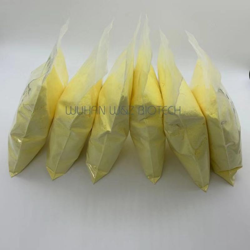 Supply Natural  Mango Extract Mangiferin   Powder