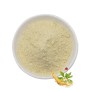 Top Quality  ginsenoside Rb1
