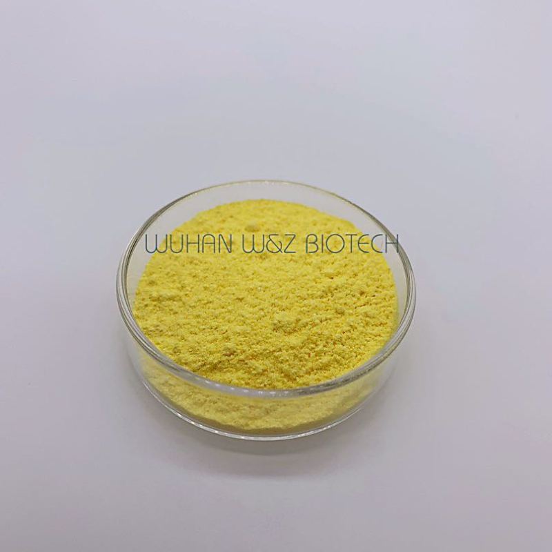 High Quality 98% Isoquercitrin Isoquercetin Powder Sophora Japonica Extract CAS 482-35-9