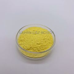 High Quality 98% Isoquercitrin Isoquercetin Powder Sophora Japonica Extract CAS 482-35-9 High Quality 98% Isoquercitrin Isoquercetin Powder Sophora Japonica Extract CAS 482-35-9