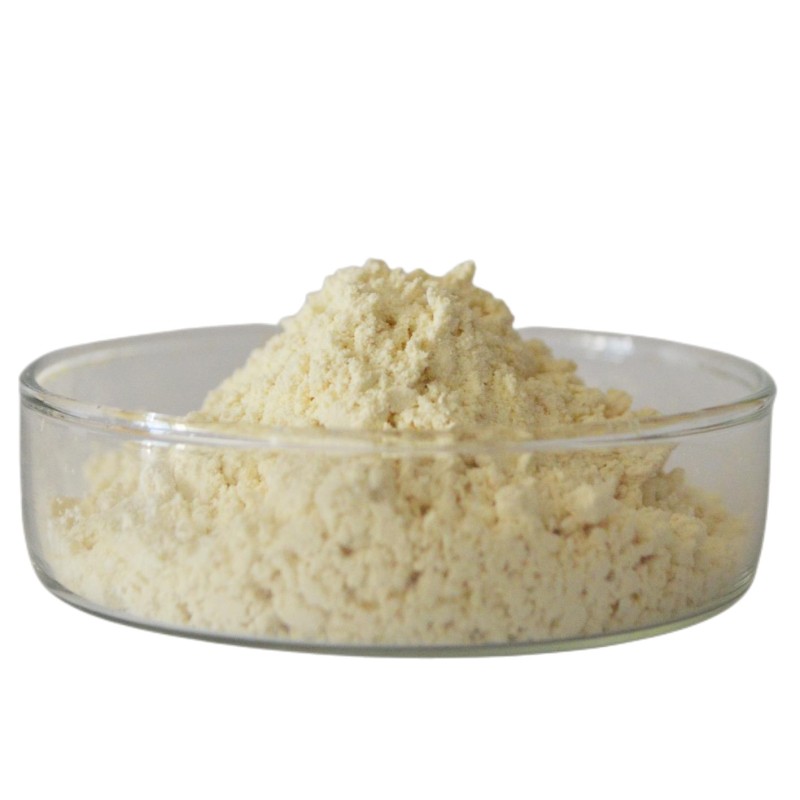 Supply 98% Naringin Extract CAS 10236-47-2 Grapefruit Extract powder Naringin