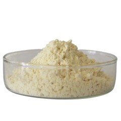 Supply 98% Naringin Extract CAS 10236-47-2 Grapefruit Extract powder Naringin