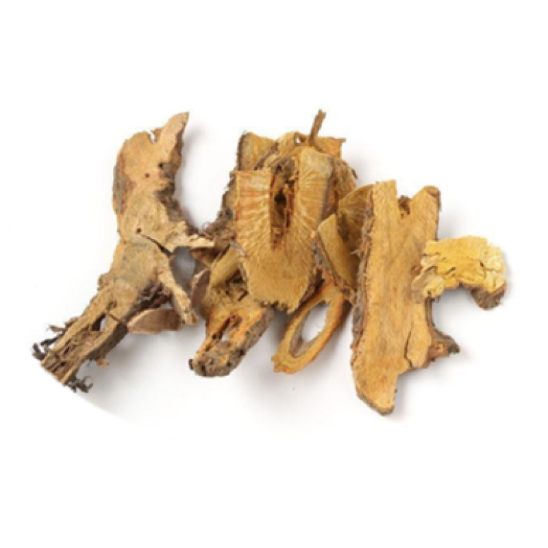High Quality Giant Knotweed  Extract 98% Polydatin Powder