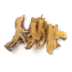 High Quality Giant Knotweed Extract 98% Polydatin Powder