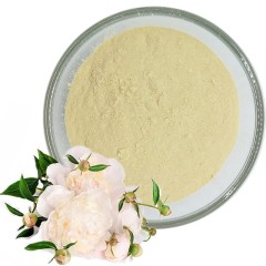 High quality paeonia lactiflora extract 98% paeoniflorin powder High quality paeonia lactiflora extract 98% paeoniflorin powder