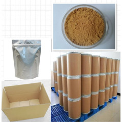 KLl Factory Wholesales Polysaccharide en poudre d'extrait de champignon en vrac 50%